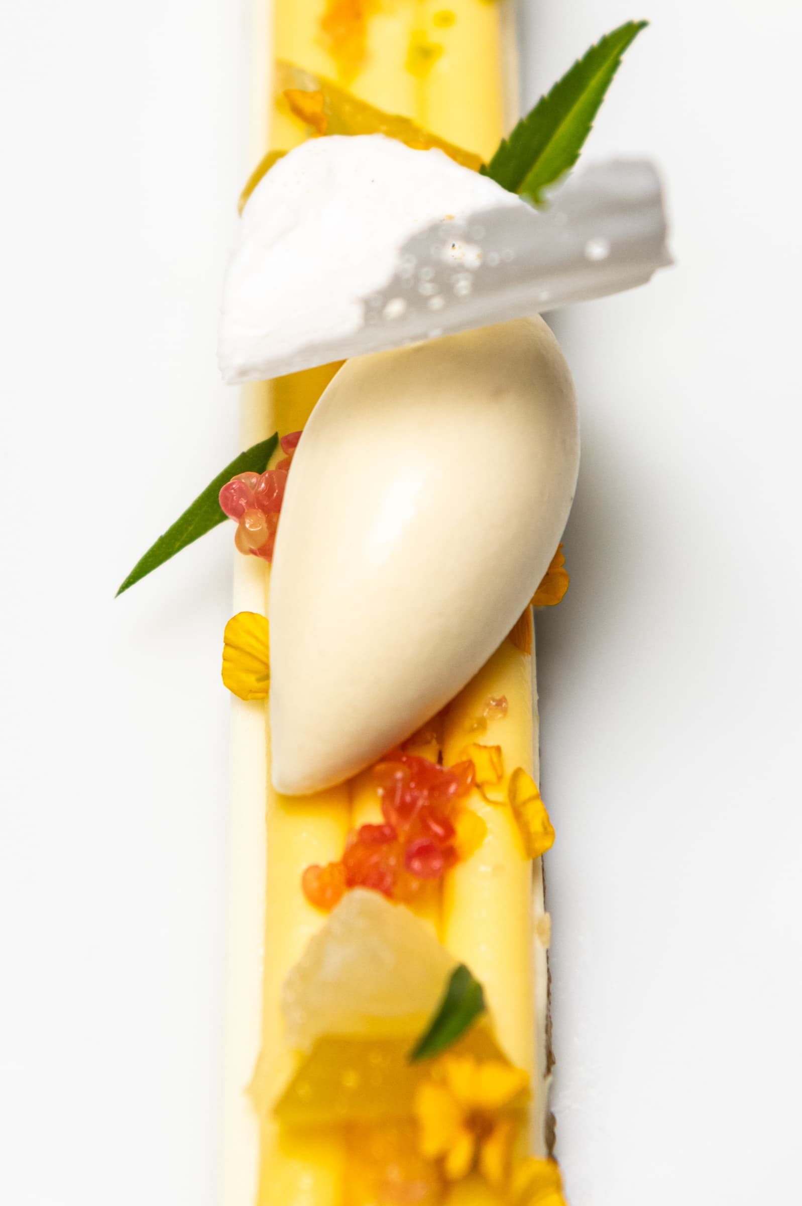 A vertical dessert composition on white porcelain — a thin yellow citrus tile dressed with mango pearls, marigold petals, a verbena leaf, a quenelle of cream and a streak of meringue.