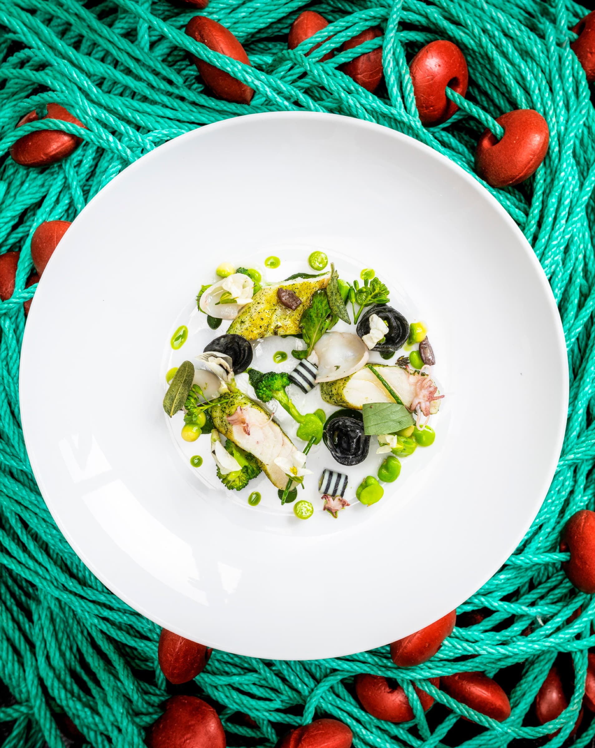 An overhead plate — grilled sardines on a bed of black caviar with green herbs and edible flowers, set on a tangle of green fishing net with red cork floats around the rim.