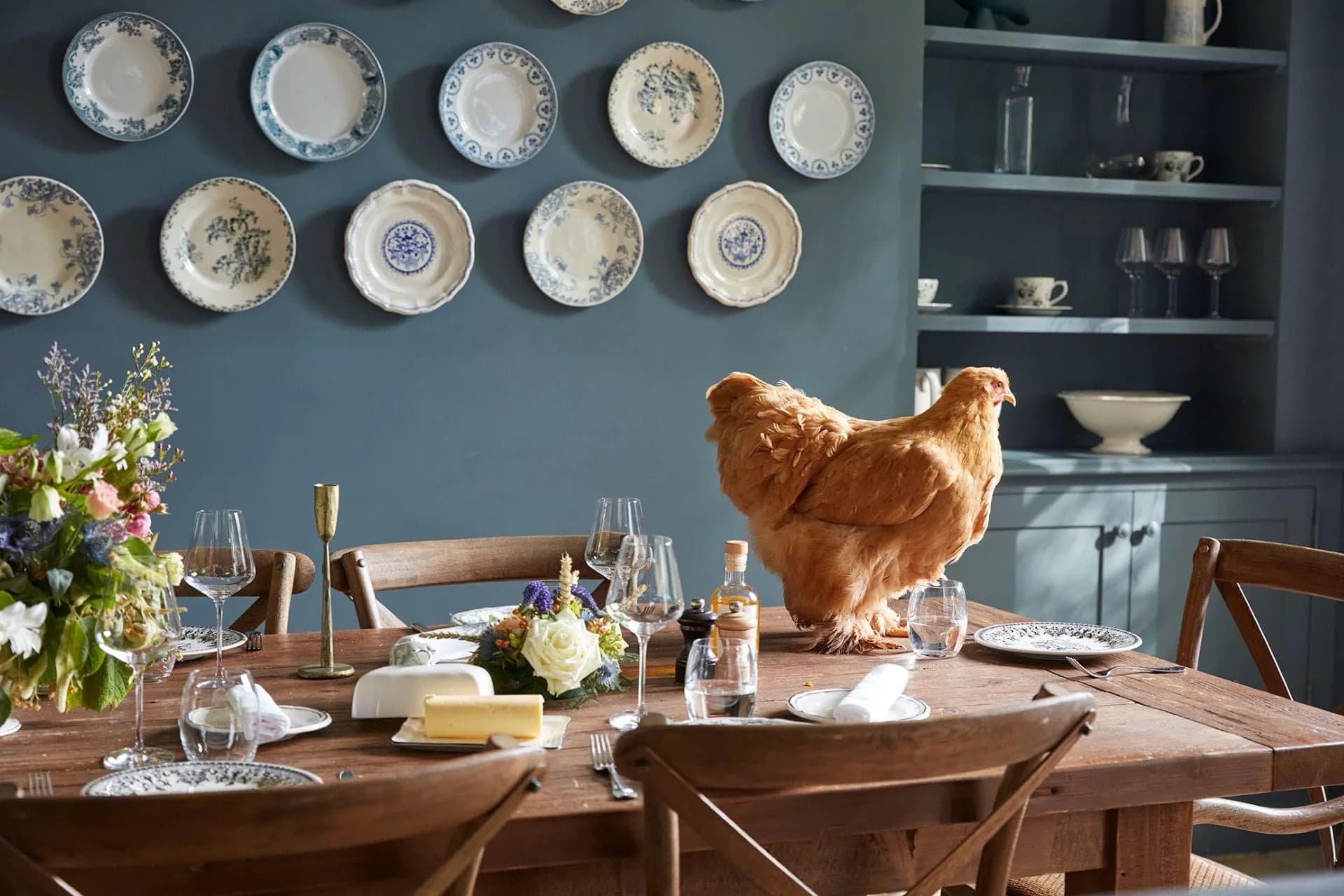 A long farmhouse table set for breakfast in a blue-walled dining room, antique plates on the wall, a hen perched between the linen.