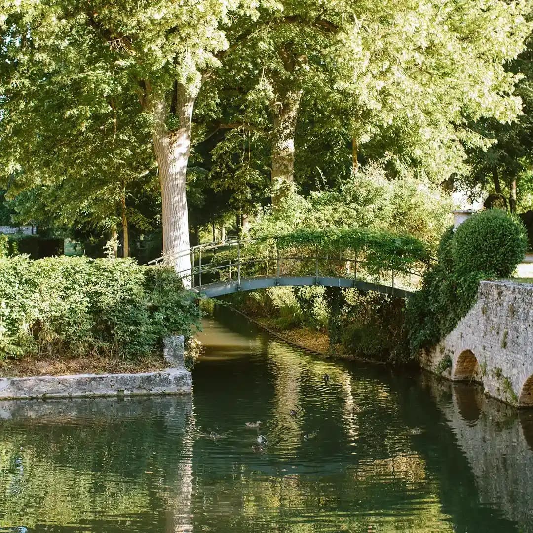 A footbridge arching over the Eure between tall plane trees, the water dark and still, a hedge of boxwood on the near bank.