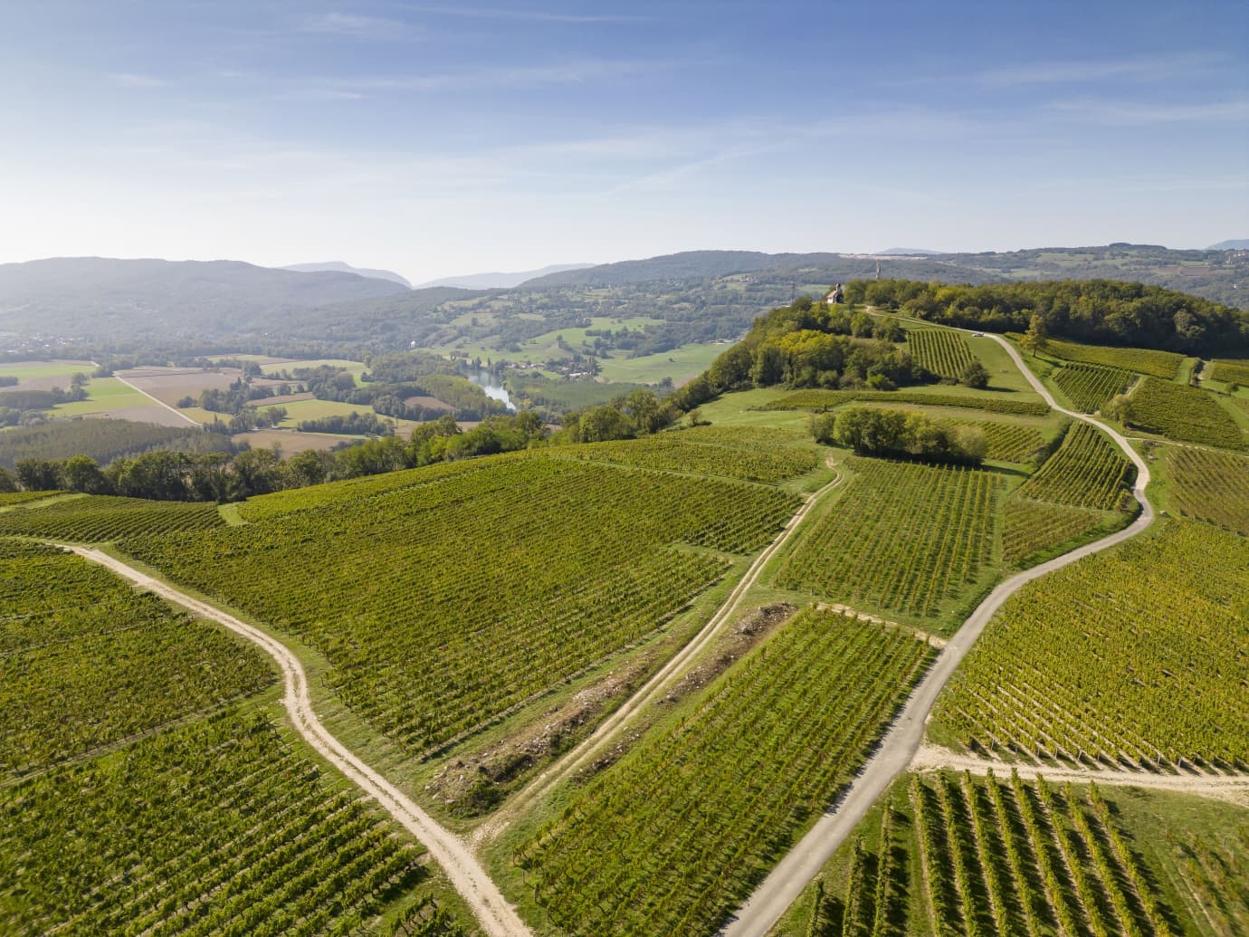 An aerial of the Marestel vineyards — pale tracks dividing the south-facing rows, the Chapelle Saint Romain on a wooded knoll, the broad bend of the Rhône and the foothills of Bugey beyond.