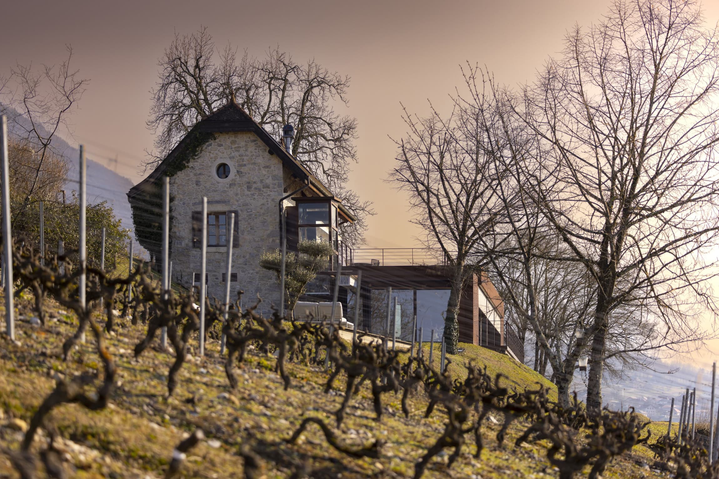 The restaurant in winter dusk — pale stone in low rose-gold light, the gnarled stocks of pruned vines in the foreground, bare trees against a cold pink sky.