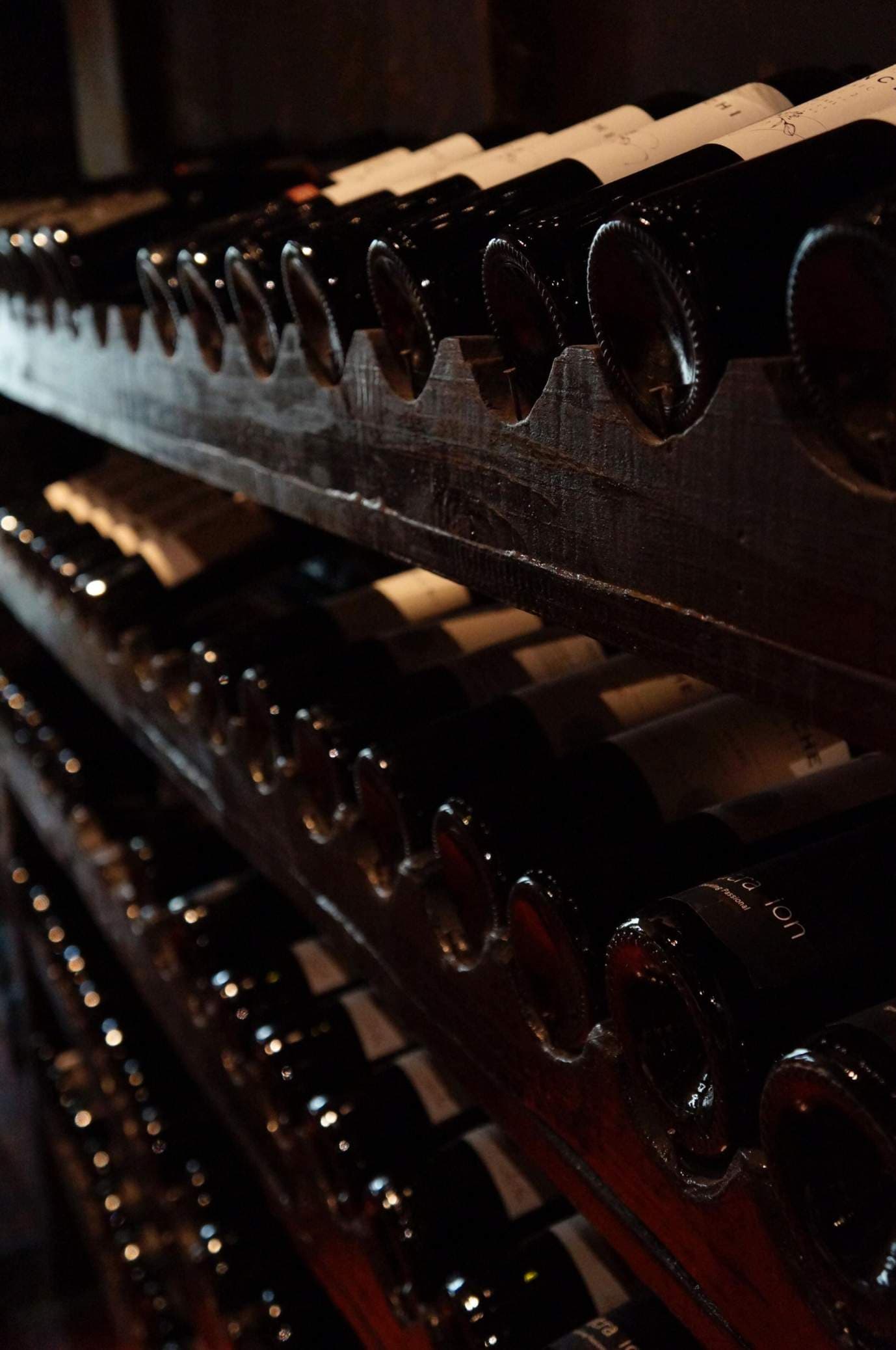 The cellar — rows of dark glass bottles laid in a black wooden rack under low light, the bases of the necks catching the lamp.