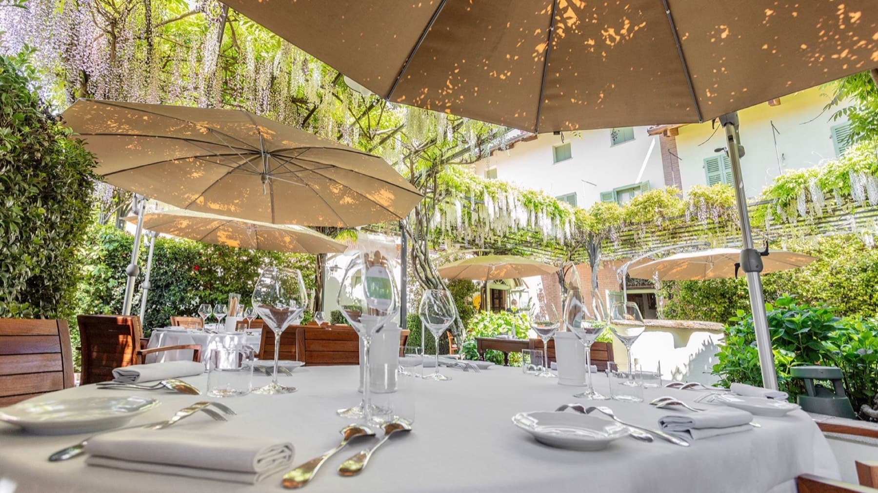 The summer terrace under wisteria — a round table dressed in white linen, six wine glasses set, large beige parasols opened against the sun, the green of the courtyard hedges and a hanging fall of pale wisteria blossom above the table.