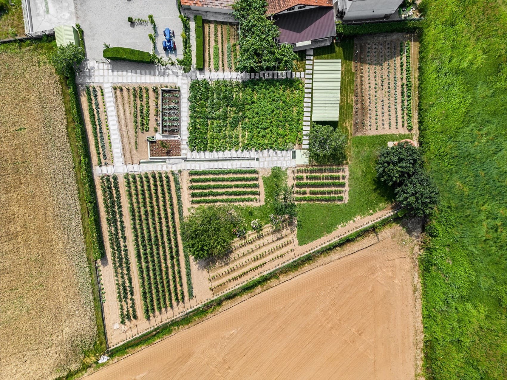 An aerial view of the Orto Reale at Antica Corona Reale — neat striped beds of vegetables, a row of espaliered fruit trees along the eastern fence, a small white-roofed tool house at the corner and the Piemontese plain stretching away at the edge of the frame.