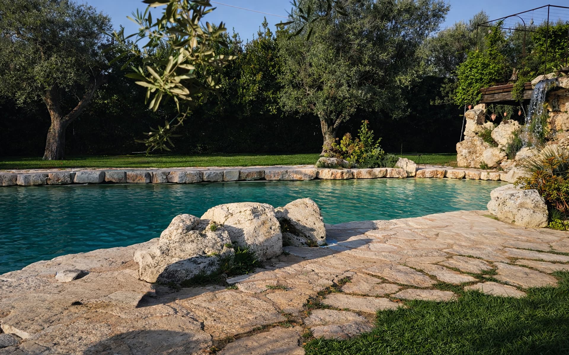 The pool seen from a low angle through olive branches, Apulian stone surround and clear southern water.