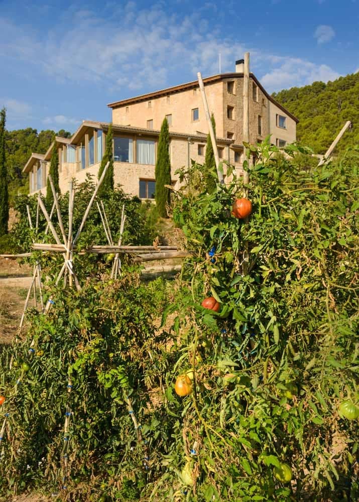 The estate's walled kitchen garden, beds of herbs and produce in summer.