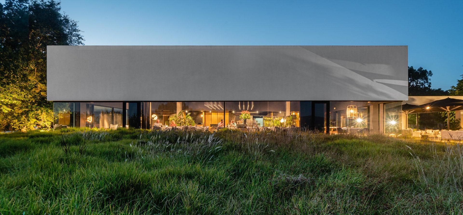 The long flat-roofed Pepe Vieira pavilion at twilight, lit from within and set in tall grass at the edge of the Galician woods.