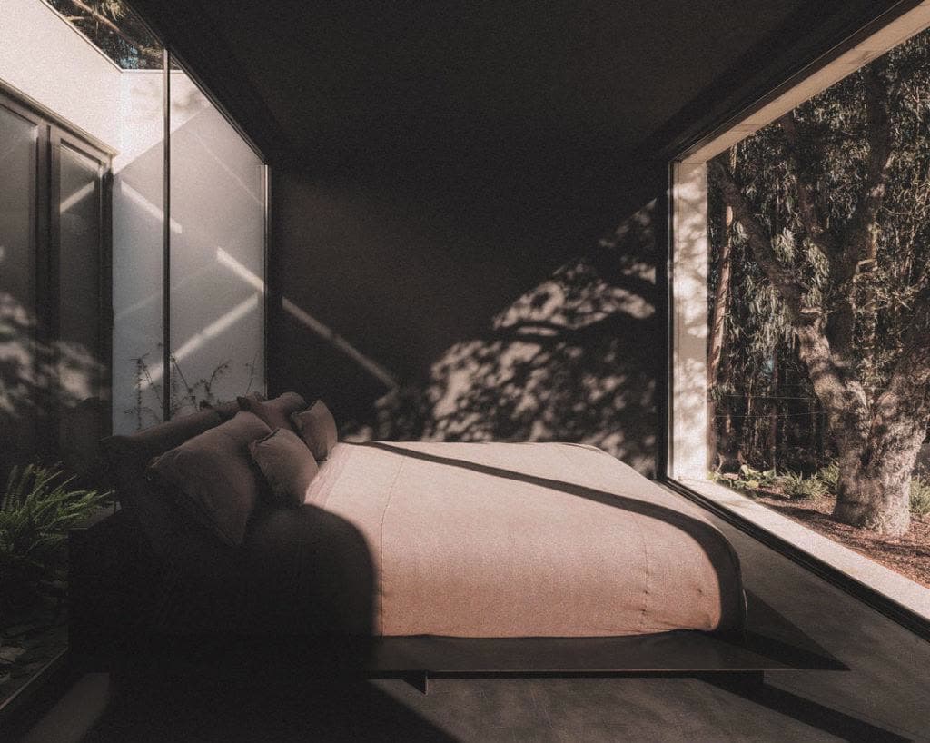 A dark cabin bedroom, low bed in muted linen, a tall window holding an old eucalyptus and the wood beyond.