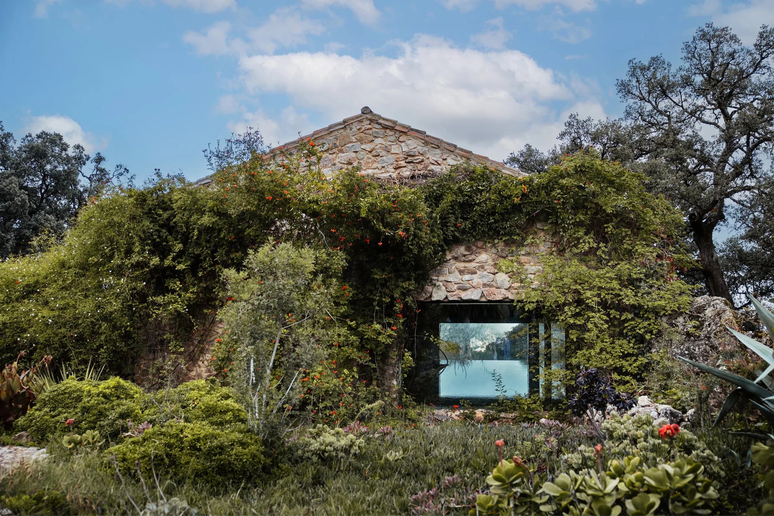 An old stone outbuilding wrapped in climbing roses and wild planting, a single tall window opening onto a green-lit pool inside.