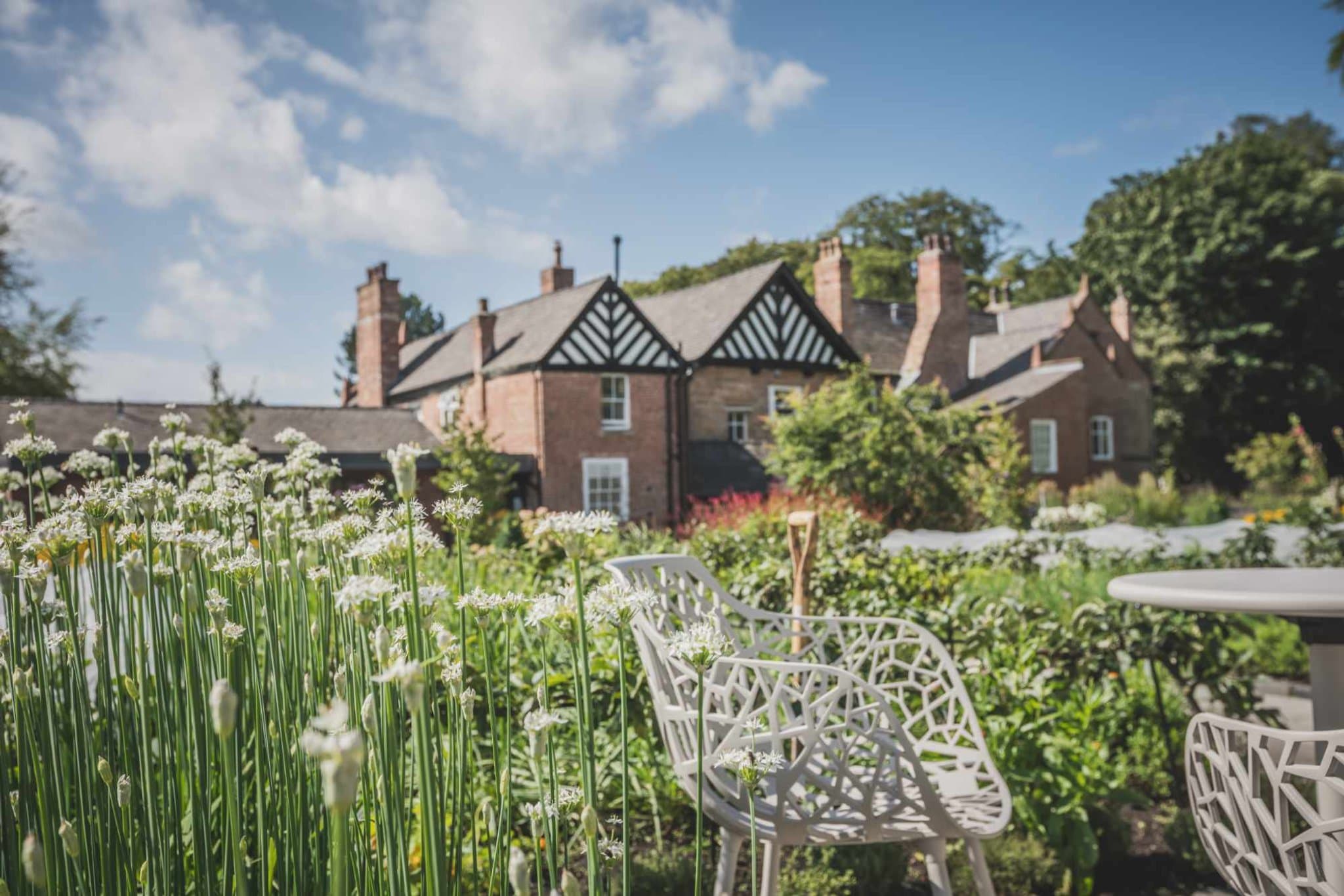 The Moor Hall house seen from the kitchen garden in summer — a row of brick gables and a black-and-white Tudor centrepiece behind a thick foreground of white allium and chive flowers, three white iron chairs set around a round garden table.