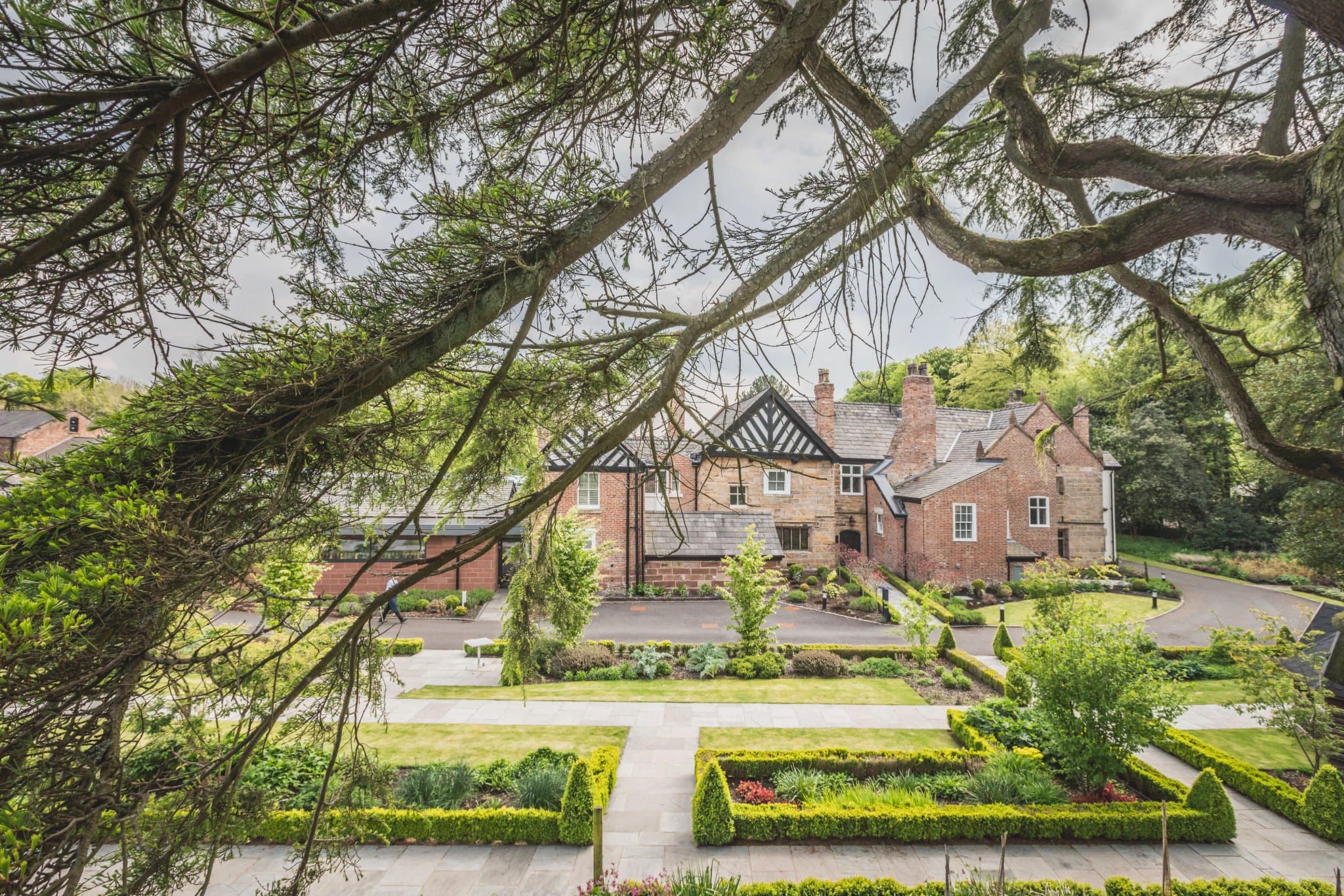 A view of the formal box-hedge gardens at Moor Hall through the lower branches of a cedar — clipped low parterre, gravel paths and a row of brick gables beyond, the foreground darkened by the cedar's needles.
