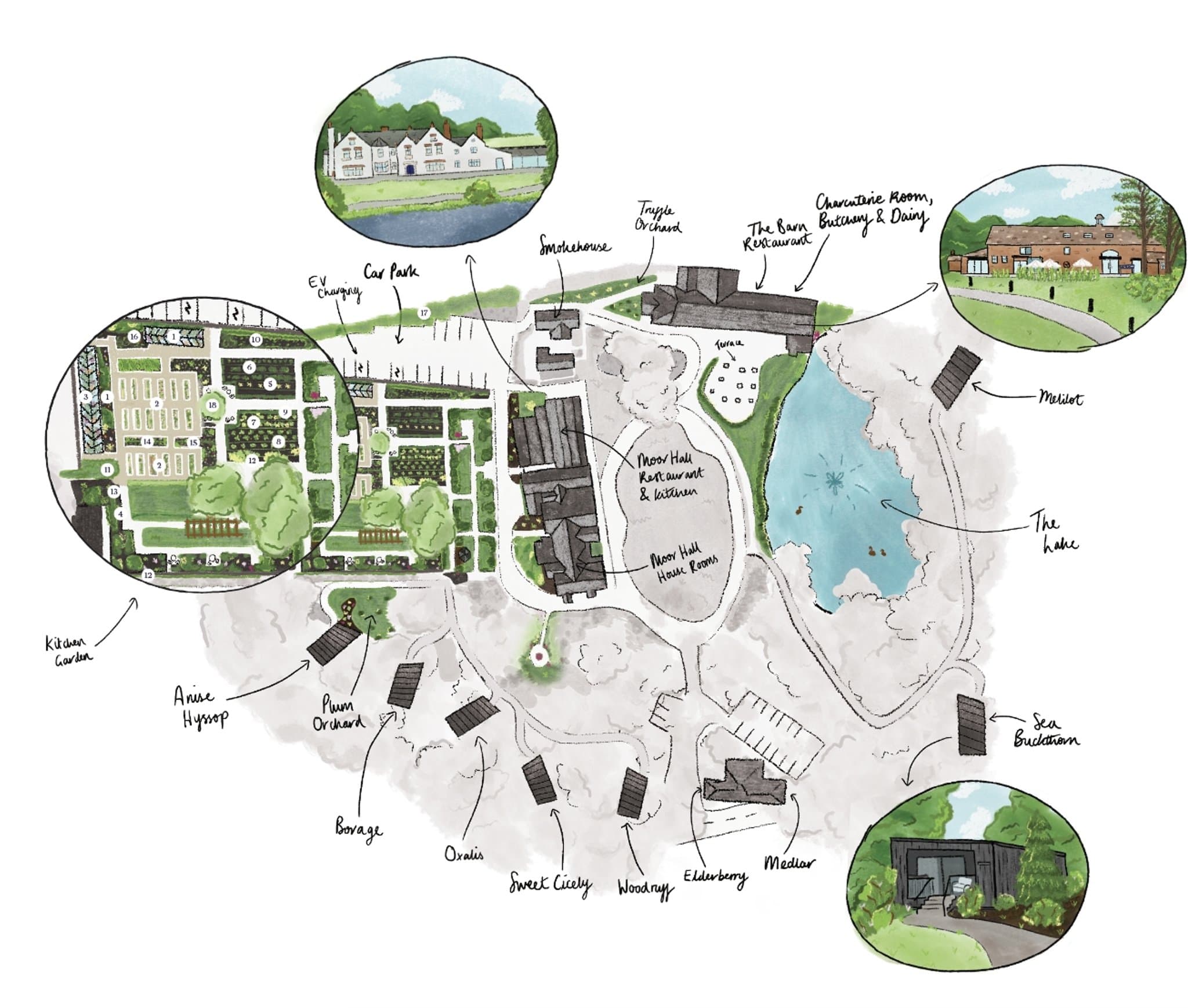 A hand-drawn estate map of Moor Hall — the lake at the centre in pale blue, the walled kitchen gardens hatched in green to the left, the buildings inked in dark grey around the water, and three vignette circles showing the Garden Rooms, the cottages and the Main House from the air, all in soft watercolour.
