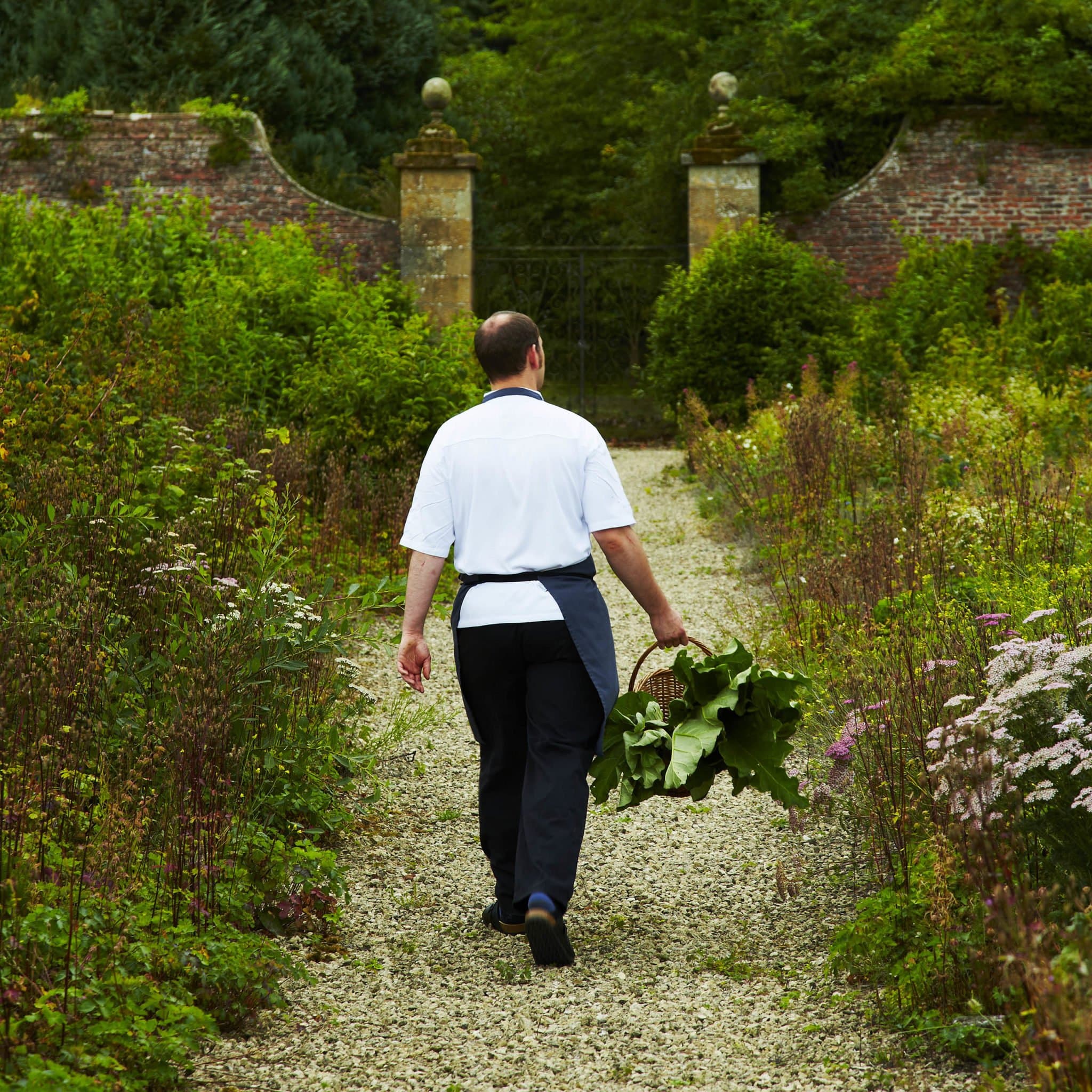 The chef in the walled kitchen garden at Swinton, herbs and produce gathered against a sun-warmed brick wall.